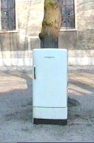 Poster Stoning the Refrigerator 1996