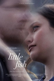 Little Fish poster