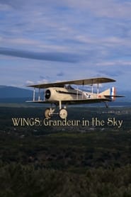 Poster Wings: Grandeur in the Sky