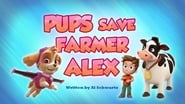 Pups Save Farmer Alex
