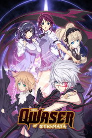 聖痕のクェイサー (2010)