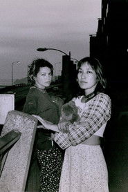 The Year of My Japanese Cousin