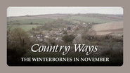 The Winterbornes in November
