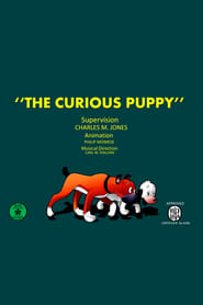 The Curious Puppy