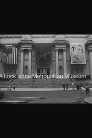 A Look at The Metropolitan Museum