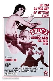 Poster Bruce and Shaolin Kung Fu 1977