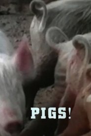 Poster Pigs! 1967