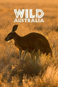 Wild Australia постер