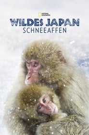 Poster Wildes Japan: Schneeaffen