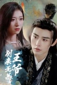 王爷别来无恙 (2024)