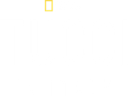 Tucci in Italy