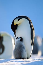 Penguins: Life on the Edge постер