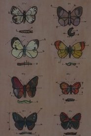 Poster Lekcja anatomii 1968