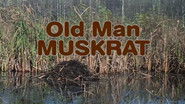 Old Man Muskrat