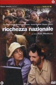 Ricchezza nazionale