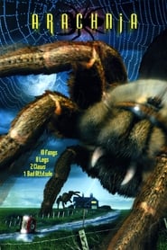 Poster Arachnia 2003