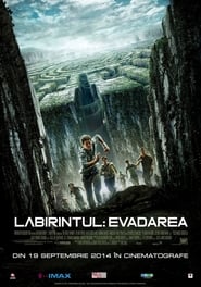 Labirintul: Evadarea