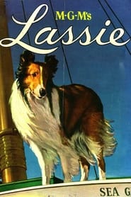 MGM's Lassie Collection en streaming