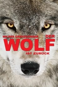 Poster Wilder Grenzgänger - Der Wolf ist zurück