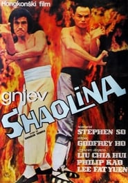 Fury in Shaolin Temple постер