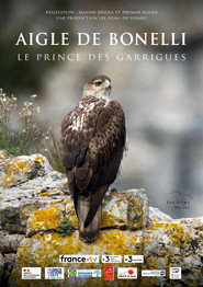 Aigle de Bonelli, le prince des garrigues