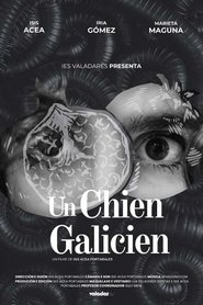 Un chien galicien
