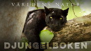 Le Livre de la Jungle 