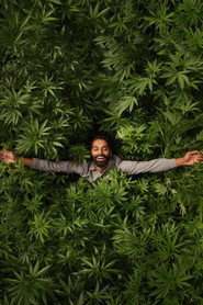 Weediquette poster