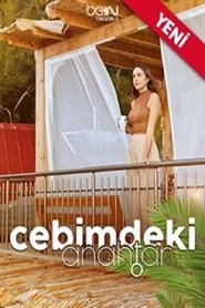 Cebimdeki Anahtar poster