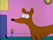 Bart's Dog Gets an F