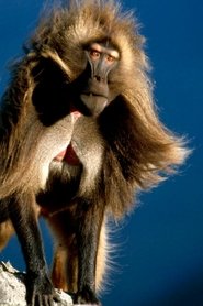 MongoDB.Entities.FuzzyString