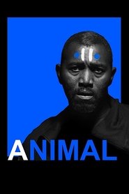 Poster Animal 2017