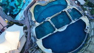 Has the Magic Vanished from Marine Zoos?