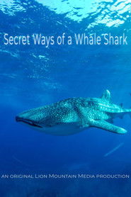 Le long voyage d'un requin-baleine (2024)