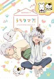 うちタマ?! ~うちのタマ知りませんか?~