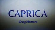 Video Blogs: Gray Matters