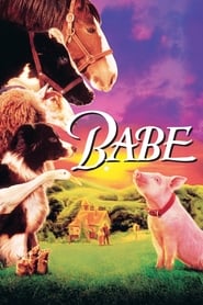 Poster for Babe