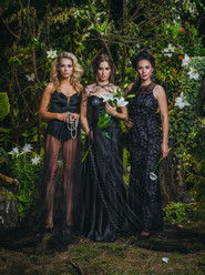 Juodosios na&scaron;lės (2016)