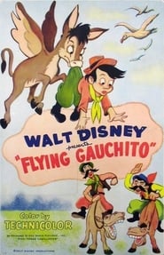 The Flying Gauchito постер