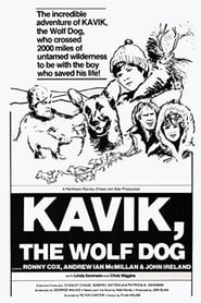 مشاهدة فيلم Kavik the Wolf Dog 1980 مترجم أون لاين بجودة عالية