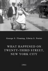 What Happened on Twenty-Third Street, New York City
