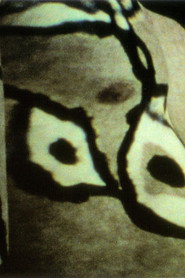 Body Projections