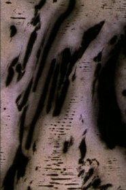 Poster Motion of Light 2004