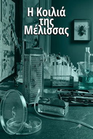 Η κοιλιά της μέλισσας