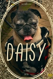 Poster Daisy