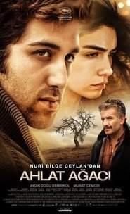 The Wild Pear Tree (2018)