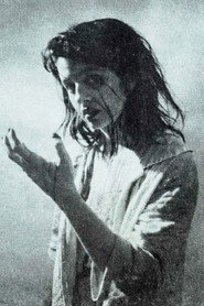 Casandra Stark