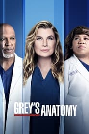 Poster Grey's Anatomy - Season 3 Episode 1 : Time Has Come Today 2022