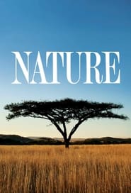 Природа постер