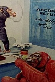 Poster Interior Ape 2004